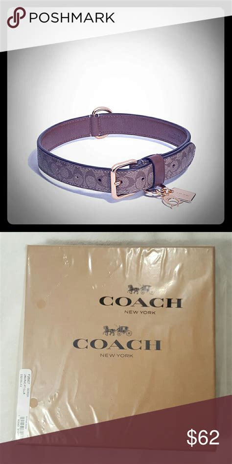 authentic coach dog collar.